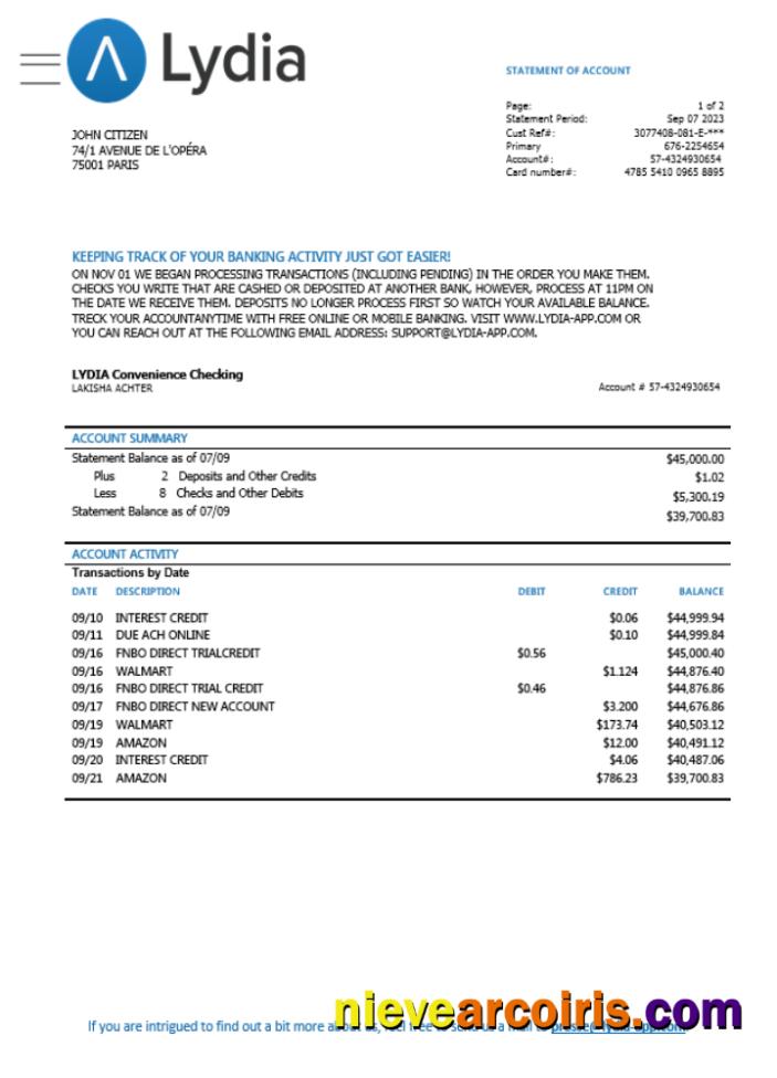 France Lydia Noir bank card statement Word and PDF scr